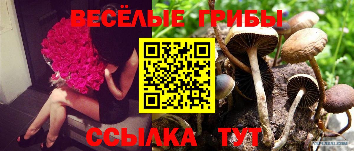 Псилоцибиновые грибы MAGIC MUSHROOMS  Вход с VPN  Казань  Псилоцибиновые грибы мухоморы 